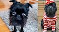 Meet Squid The Griff, the real-life meme taking on Kim Kardashian