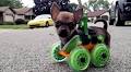 3-D printing helps disabled Chihuahua get rolling with new doggie cart