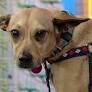 Pet of the day: Kanga Roo