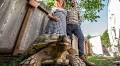 A ‘dream yard’ for Ethel the Glamour Tort of Sonoma