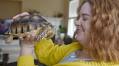 Missing social media tortoise found, returned home