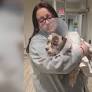 Senior dog mauled in Fargo attack, owner seeks charges