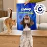 Chewy unifies its brands into Chewy Made