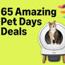 Amazon Pet Days 2026: 65 top deals on pet food, toys, grooming, and health supplies to shop now