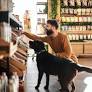 Best Pet Food 2026