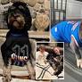 Exclusive | Dogs named Brunson are ready to watch the Eastern Conference finals with their Knicks superfan families