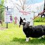 Off the leash: Duncansville Borough opens Blair County’s first free dog park