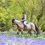 A canter through the bluebells — and other news in pictures