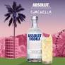 ABSOLUT BRINGS THE SPICE TO COACHELLA