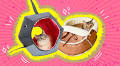 The Most Unique Cat Beds (That You Can Actually Buy)