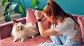 Think Your Pet’s a Star? The Dos and Don’ts of Running a Pet Instagram Account