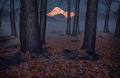 Dreamy vistas dominate the 2021 International Landscape Photographer of the Year awards