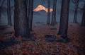 International Landscape Photographer of the Year crowned