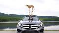 Mercedes-Benz USA Wins on Instagram (Again) with #GLAPacked Campaign