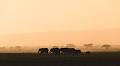 Stian Klo Captures the Majestic Wildlife of the Kenyan Landscape