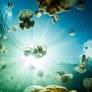 I spent years staring at the jellyfish lake on my screensaver. The reality was something else