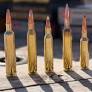 The Ultimate .25-Caliber Shootout: Newcomers vs The Classics