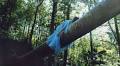 Stacy Kranitz captures Appalachia as it is