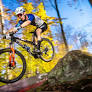A perfect start to the season: Dario Lillo triumphs in South Korea | blue News
