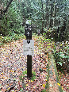 Mike Lake / Eric Dunning Trail Mountain Biking Route | Trailforks