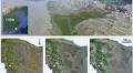 Coastal Restoration May Not Necessarily Enhance Blue Carbon Sink - Zhu - 2025 - Geophysical Research Letters