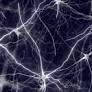 How understanding genetics may fuel new ALS therapies