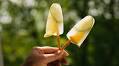 The Best—And Worst—Foods During a Heat Wave