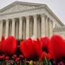 The VRA ruling reality check
