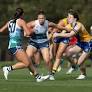 VFLW Match Report | Cats Fall to Williamstown