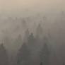 Montana’s 2026 Fire Season: Puzzling Winter, Meet Potential Powder Keg of a Summer