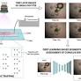 Enhancing in vitro maturation with microfluidics and artificial intelligence