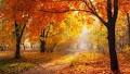 Jennifer Elizabeth "Liz" Watson Obituary February 22, 2025