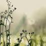 Stephen Ray Alverson Obituary May 7, 2026