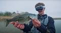 Watch: YouTuber Syncs Apple Vision Pro With LiveScope