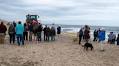 Beached fin whale dies just north of Inlet