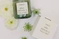 Wedding Trends