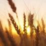 Harry Hines Obituary May 21, 2026