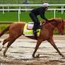 ‘Off the charts exciting.’ L.A. native Brian Kahn thrilled he bred a Kentucky Derby horse