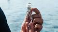 Emmanuel Tarpin Dives Into The Deep For His Latest High Jewelry Endeavor