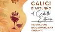 Calici D’Autunno in Castello 2023