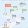 Toward sustainable and stable lithium-mediated ammonia synthesis