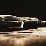 Tim Atkin MW: Learning from old wine