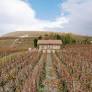 Discover which NZ winery has topped 2026's best of the year awards