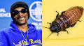 Snoop Dogg Once Fed A Large Cockroach Named “The Gooch” That Lived With Him