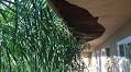 Isla Vista Landlords Sue County to Stop Rental Inspections