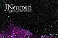 Neurophysiology of Perceptual Decision-Making and Its Alterations in Attention-Deficit Hyperactivity Disorder