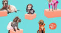 Local Event: Woof-o-ween presented by The Farmer's Dog