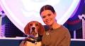 Blue Peter welcomes latest team member to the show - adorable new pet dog Henry