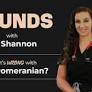 Pomeranian Coat Problems Explained | Vet Candy Rounds with Dr. Shannon Gregoire