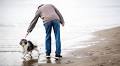 'I'm a vet - there's five things I would never do with my dog including popular activity'